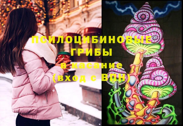 амф Лабытнанги