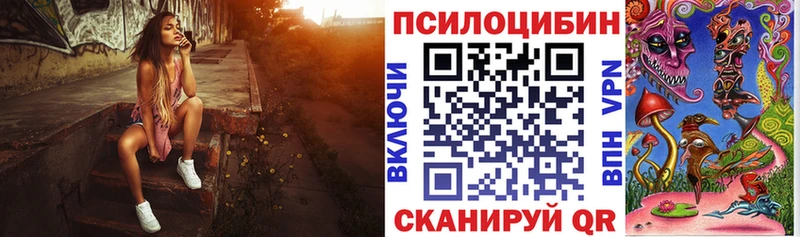 Купить  Чебаркуль  Псилоцибиновые грибы Cubensis 