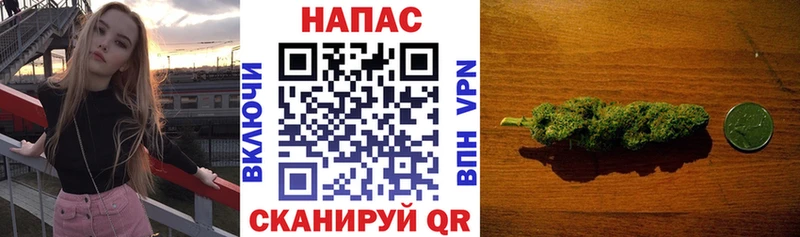 Марихуана сатива  Купить где  Чебаркуль 